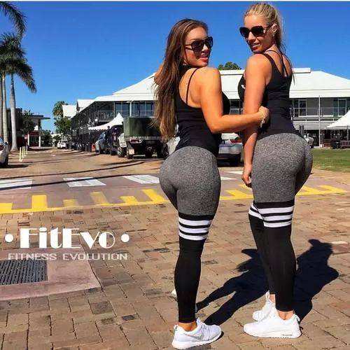 火博体育全站下载版