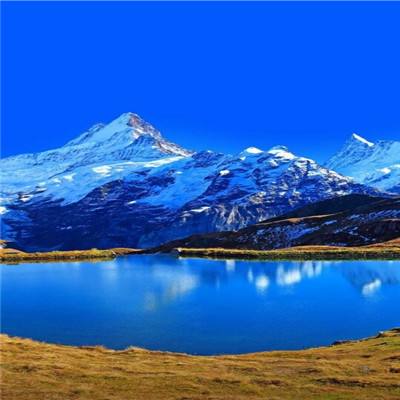 2023管家婆资料正版大全澳门