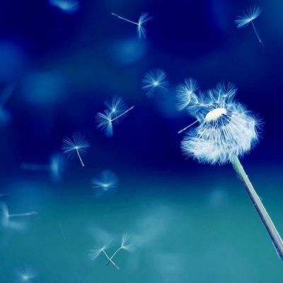 Bsport体育在线登录入口