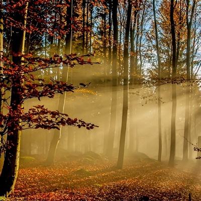 皇冠体育安卓app