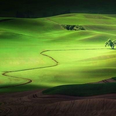 beat365中国在线体育下载手机版