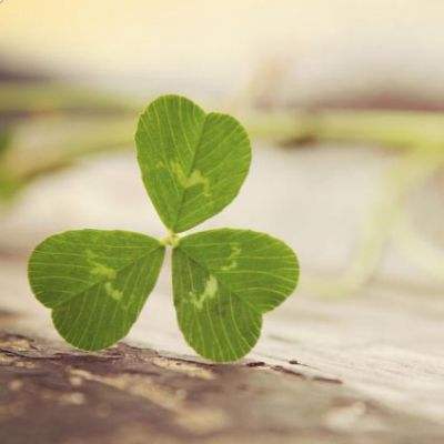 小罗代言米乐体育app