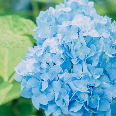 管家婆一码一肖资料下载手机版