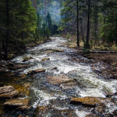 麻将胡了2游戏入口