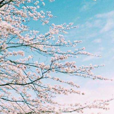 足球竞彩app下载手机版